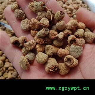 丽丽药业 覆盆子中号 中药材批发 正品保证实图拍照7天无理由退货退款图2