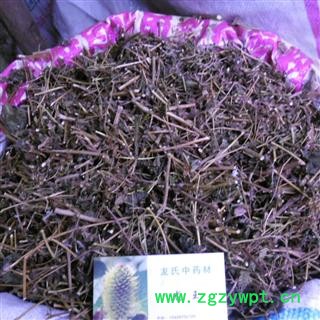 野菊花杆 统货 产地 四川省成都市双流县图4