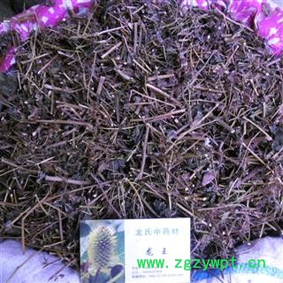 野菊花杆 统货 产地 四川省成都市双流县图3