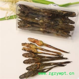 诺源药材行哈士膜 林蛙 东北林蛙图2