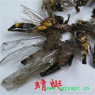 诺源药材行 优质蜻蜓  花豹纹蜻蜓 统货图2