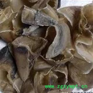 诺源药材行猪甲批发 猪蹄甲 猪甲 猪蹄角 以及熟猪蹄甲图2