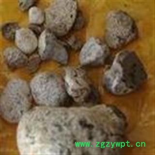 诺源药材行中药材龙涎香 龙泄 龙腹香 鲸涎香图2