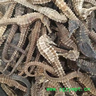 诺源药材行优质海马  小海马可搭配海龙 海星图3