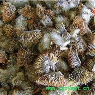 诺源药材行中药材刺猬皮 规格齐全图2