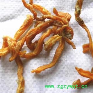 诺源药材行中药材 正品 脐带 坎炁 坎气 坎脐图2