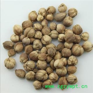 白豆蔻 白豆蔻统货 产地 广西 华美中药 产地直销 重在品质图2