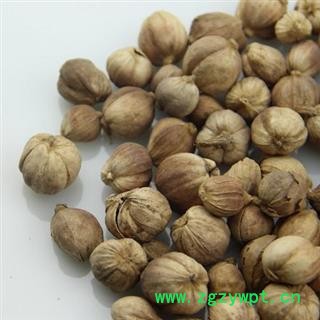 白豆蔻 白豆蔻统货 产地 广西 华美中药 产地直销 重在品质图3