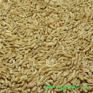 浮小麦 浮小麦净货 产地 河南省 华美中药 产地直销 重在品质图3