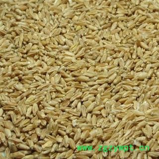 浮小麦 浮小麦净货 产地 河南省 华美中药 产地直销 重在品质图2