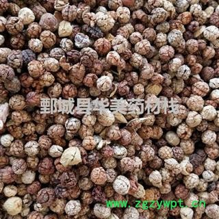 草豆蔻 云南草豆蔻统货 产地 云南省 华美中药 产地直销 重在品质图3