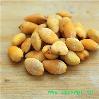 白果 白果仁统货 产地 江苏 华美中药 产地直销 重在品质图3
