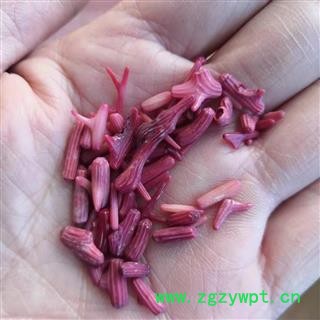 安祁名药中药材珊瑚  红珊瑚图2