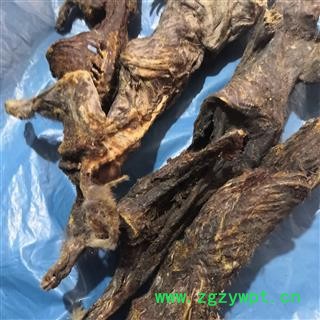 安祁名药塞隆骨  瞎老鼠骨  鼢鼠骨图2