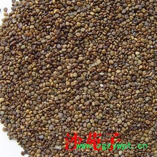 沙苑子 水洗净货 产地 陕西省  华美中药 产地直销重在品质图4