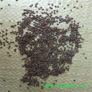 沙苑子 水洗净货 产地 陕西省  华美中药 产地直销重在品质图2