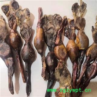 安祁名药狗鞭 多种规格  实物现拍图2