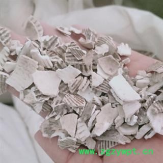 安祁名药瓦楞子 统 产地 广东省图2