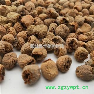 覆盆子大颗粒 覆盆子选货 产地 浙江省 华美中药 产地直销 重在品质图3