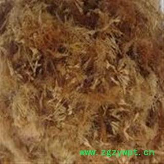 合欢花 统 产地 安徽省铜陵市狮子山区 大货批发价图3