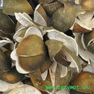 青皮 四花青皮绿色选个 产地 四川省图2