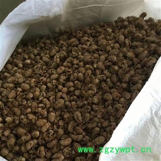 安祁名药小蝉蜕 蝉蜕 多种规格图2