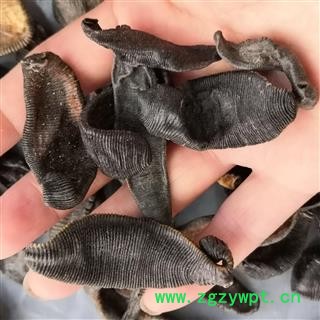 安祁名药清水水蛭 优质统货图2