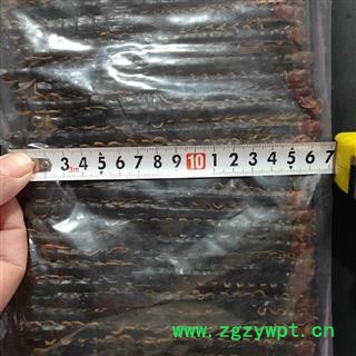 蜈蚣 蜈蚣大条精选货16-17cm 产地 湖北省图2