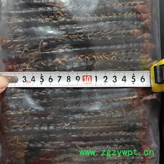蜈蚣 蜈蚣大条精选货16-17cm 产地 湖北省图4