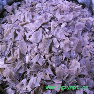 鸡内金 统货 产地 四川省成都市双流县图4