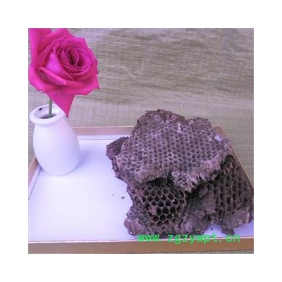 蜂房 统货 产地 四川省成都市双流县 库存 300千克可售