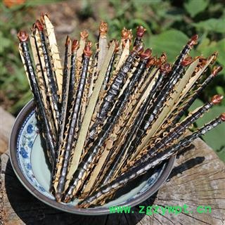 中药材蜈蚣干 千足虫 山无硫晒干图2