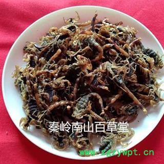 【精品全蝎】中药材陕西秦岭全蝎无损坏 手工精选 日晒无硫50g图4
