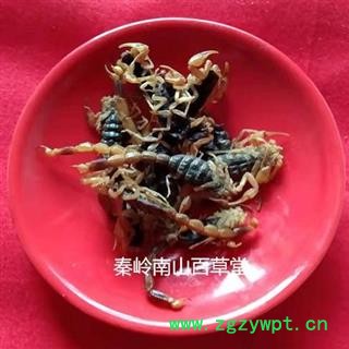 【精品全蝎】中药材陕西秦岭全蝎无损坏 手工精选 日晒无硫50g图3