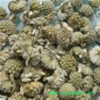 中药材 密蒙花今年新货颜色好图3