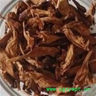 小丽百草行凌霄花  无污染图2