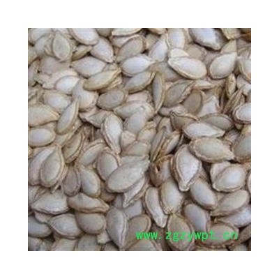 南瓜子 选货 质量好价格低 产地 山东省