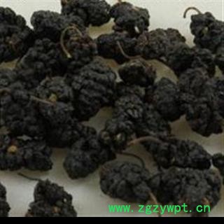 桑椹子 桑椹净货 产地 安徽省图2