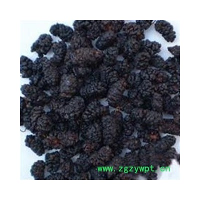 桑椹子 桑椹净货 产地 安徽省