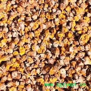 中药材野菊花 本品是野生小菊花 并非贡菊 杭菊 新货人工采摘 晒凉 筛选等工序制成 无熏硫无增重 自然风干 品质有保证 安国中药材批发零售大全图3