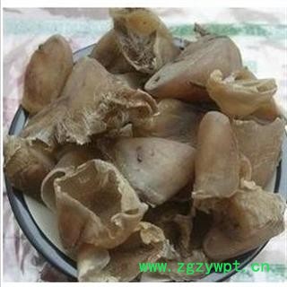 猪蹄甲 选 优 产地 安徽省亳州市谯城区图3