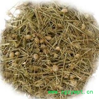 谷精草 统 产地 浙江省  正品谷精珠安国市场批发零售大全图2