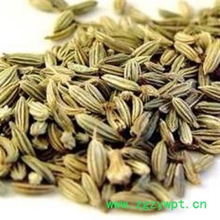 孜然正品孜然保证质量 中药材批发 丽丽药业图3