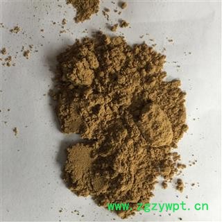 水蛭   水蛭粉 大水蛭清水统货 产地 江苏省图2