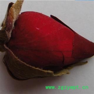 月季花批发 花草茶 供应无硫月季花 产地山东安国市场批发零售大全图2