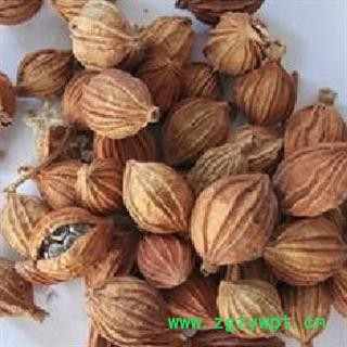 香砂 香砂仁正品保证质量7天无理由退货退款 安品堂图2