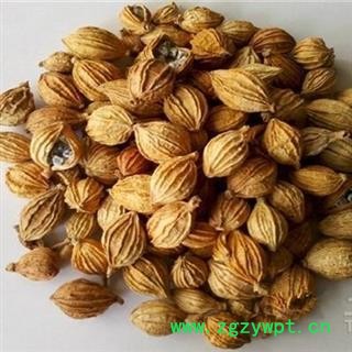 香砂 香砂仁正品保证质量7天无理由退货退款 安品堂图3