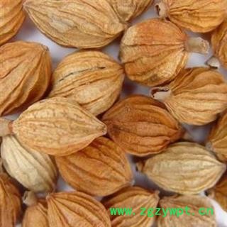 香砂 香砂仁正品保证质量7天无理由退货退款 安品堂图4