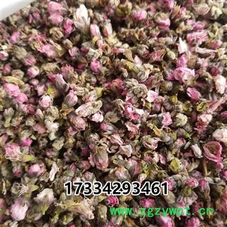 桃花   家桃花图2