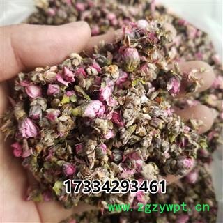 桃花   家桃花图4